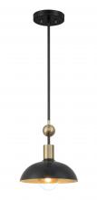 Minka-Lavery 1994-862 - BILOXI - 1LT PENDANT
