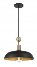 Minka-Lavery 1995-862 - 1LT PENDANT