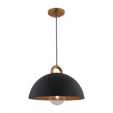 Artcraft AC12001BB - Pantheon - 1-Light Pendant - 19.5" - Black/Rust Brass