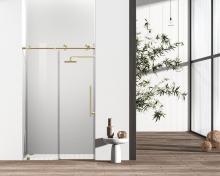 Elegant SD101-4876BGD - Frameless shower door 48 x 76 Brushed Gold
